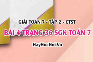 Giải bài 4 trang 36 Toán 7 Tập 2 SGK Chân trời sáng tạo